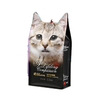 Feuille imprim&eacute;e personnalis&eacute;e Mylar Logo haute qualit&eacute; OEM 8 sac &agrave; joint lat&eacute;ral emballage alimentaire pour animaux de compagnie sac de nourriture pour chat &agrave; fond carr&eacute;